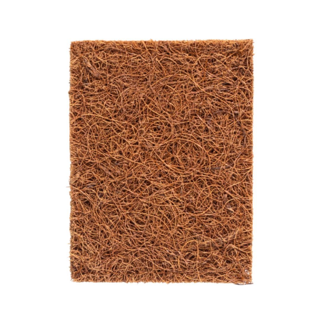SustainaBLAH Coconut Kitchen Scrubber